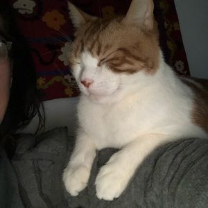 Meet your Posher, Ana